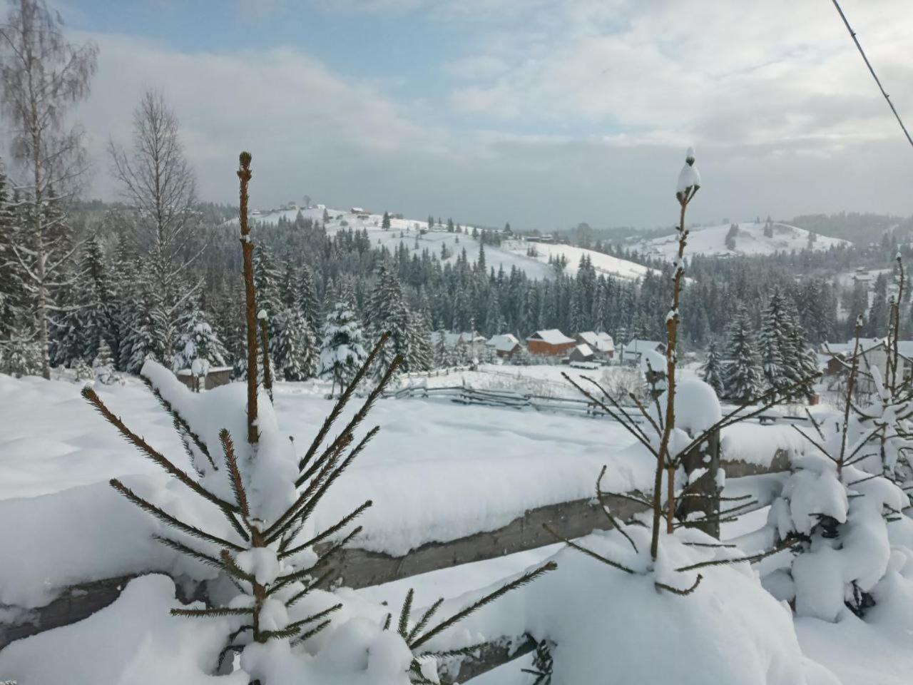 Котеджі Зоряне Небо Bukovel Exterior foto