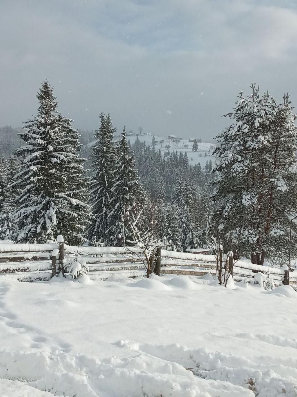 Котеджі Зоряне Небо Bukovel Exterior foto
