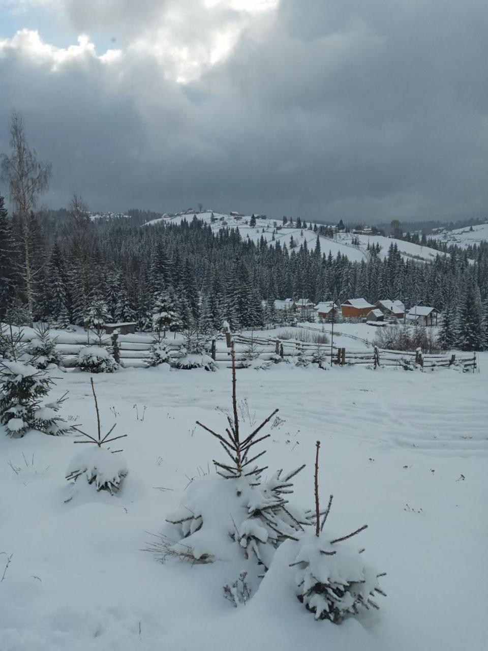 Котеджі Зоряне Небо Bukovel Exterior foto